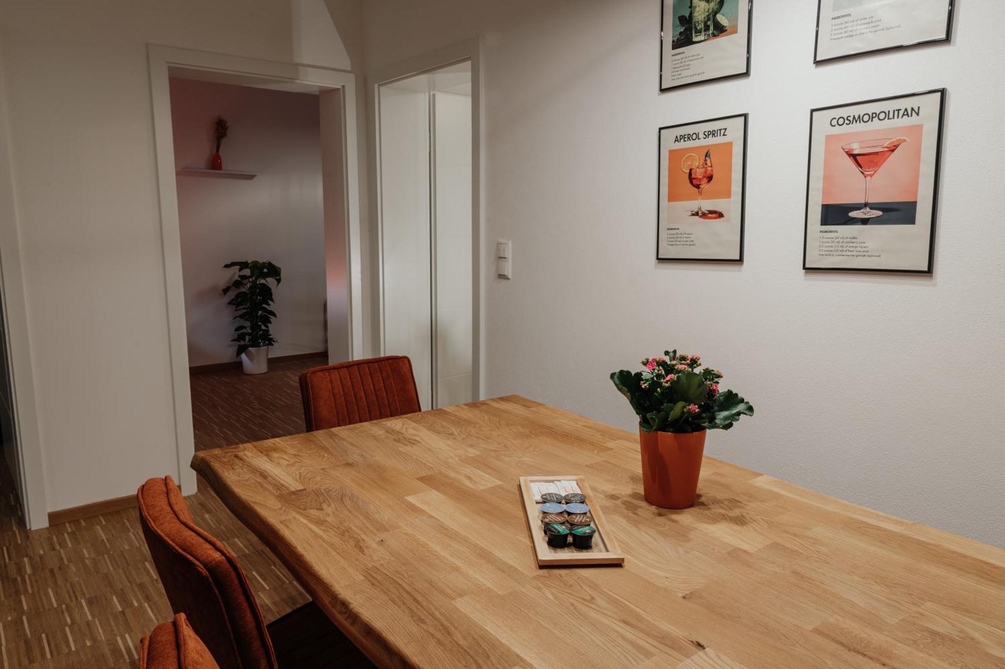 Appartement Passaus Motto Appartements! Solo - Paerchen - Familien - Gruppen